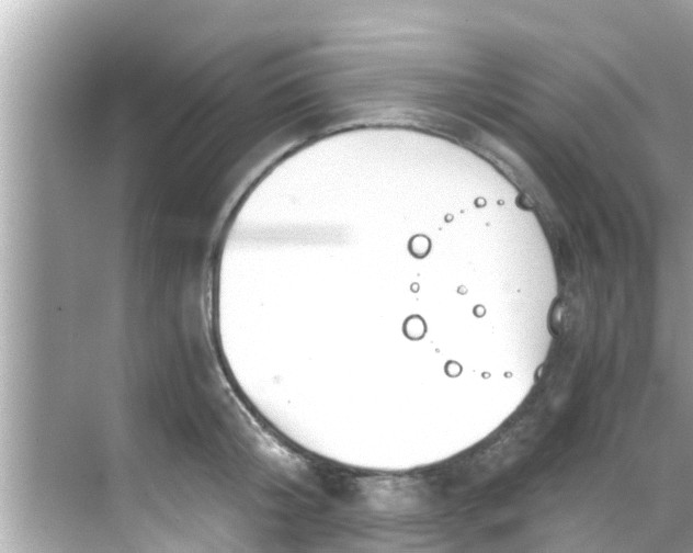 X0000068300804200605051931