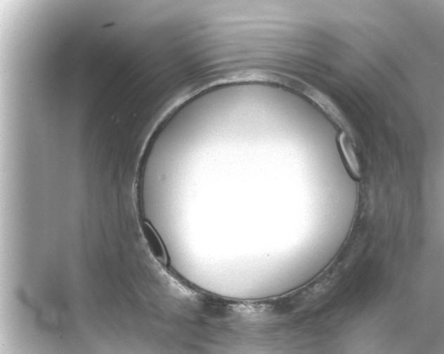 X0000068300805200605051931