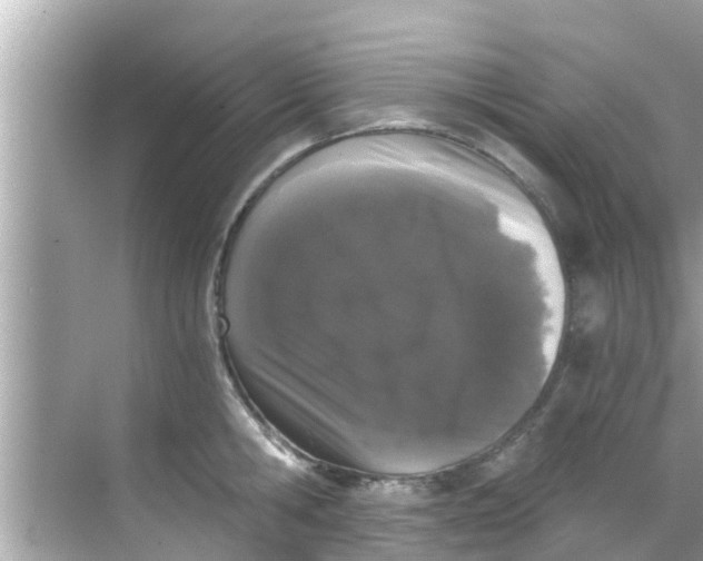 X0000068300806200605051931