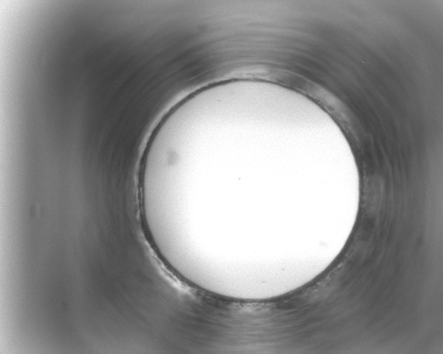 X0000068300808200605051931