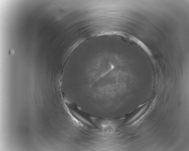 X0000068300809200605051931