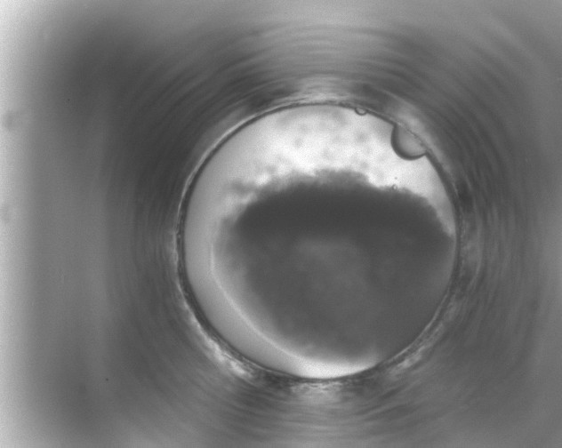 X0000068300810200605051931