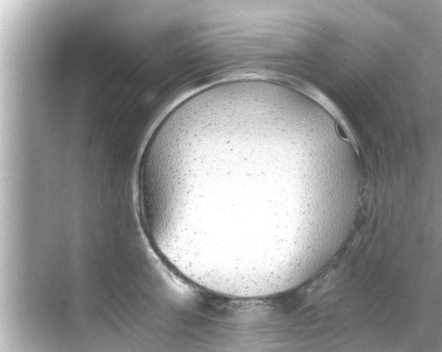 X0000068300811200605051931