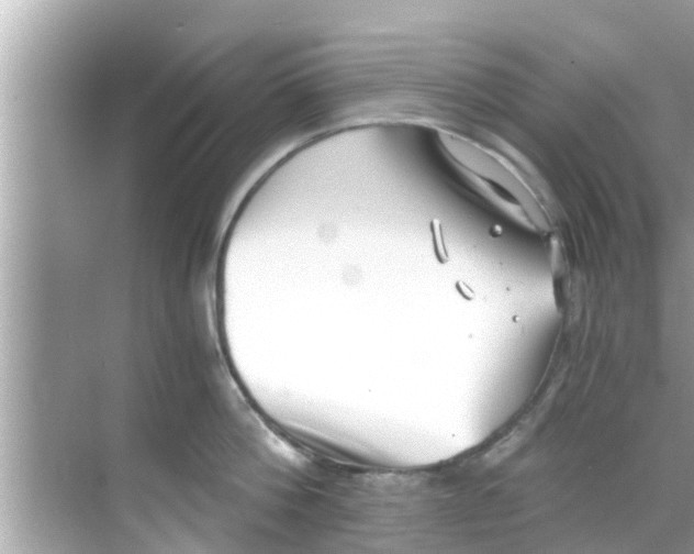 X0000068300812200605051931