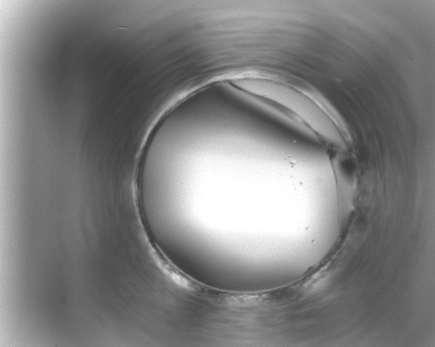 X0000068300813200605051931