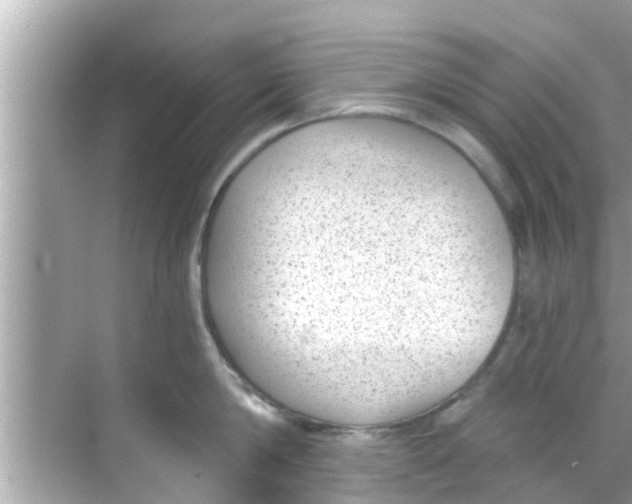 X0000068300814200605051931