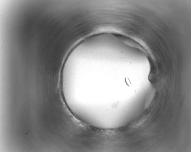 X0000068300815200605051931