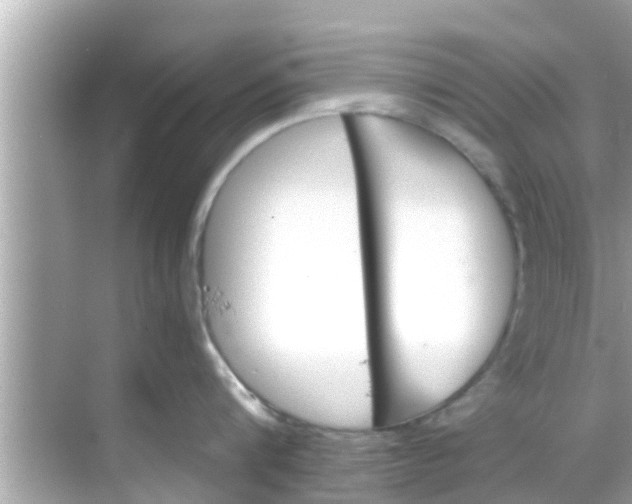 X0000068300816200605051931