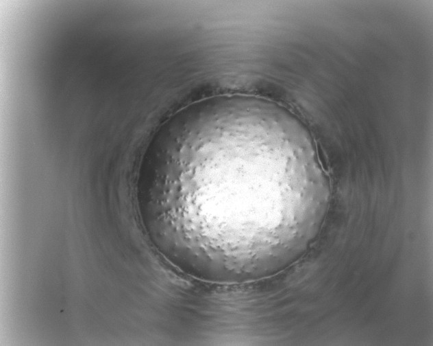 X0000068300817200605051930