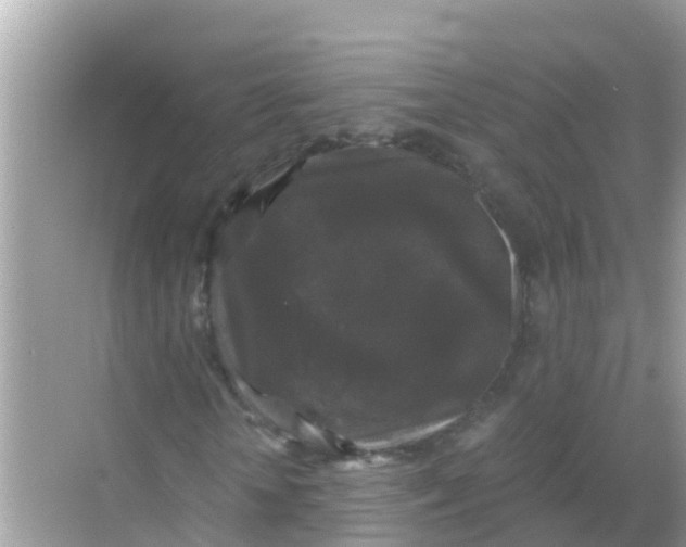 X0000068300818200605051931