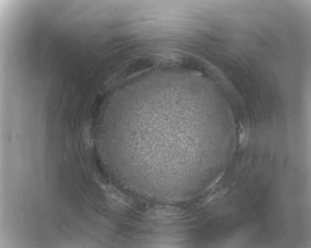 X0000068300819200605051931