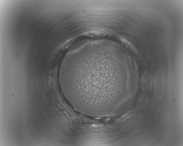 X0000068300822200605051931