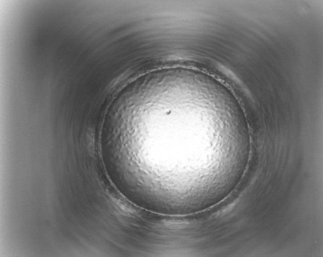 X0000068300825200605051931