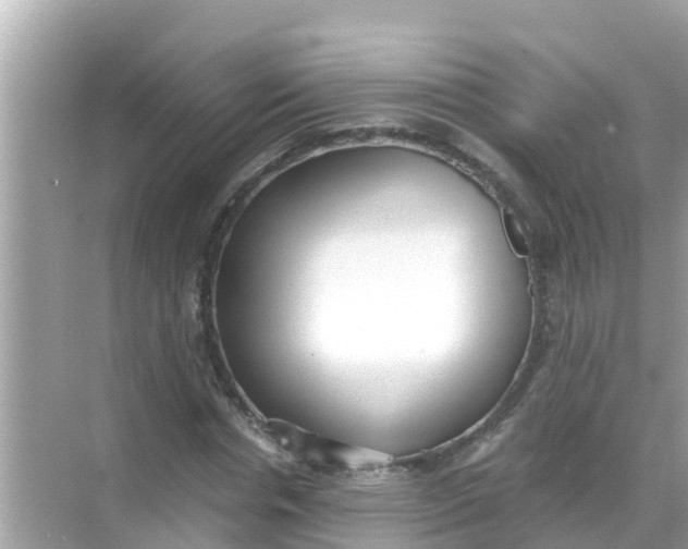 X0000068300826200605051931