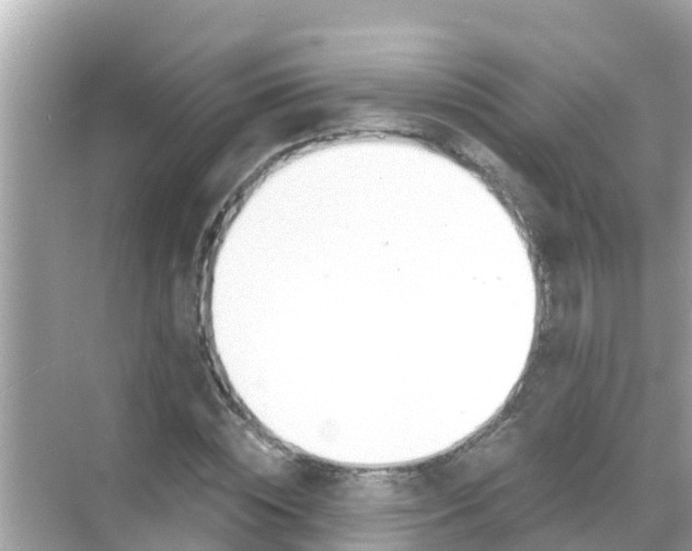 X0000068300828200605051931