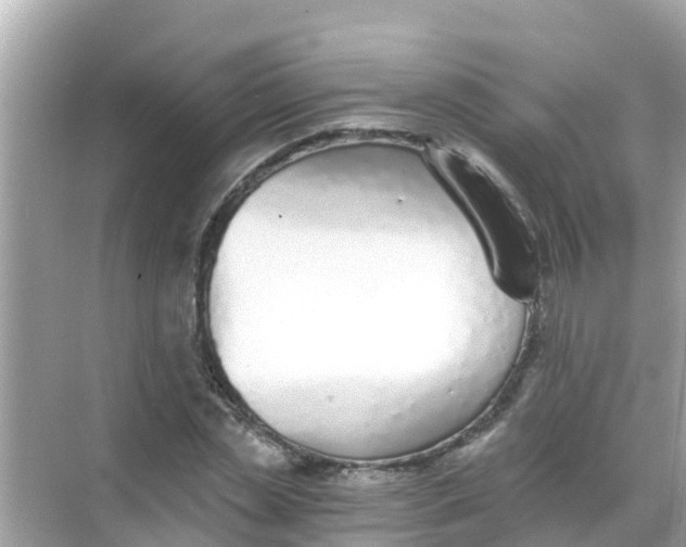 X0000068300829200605051931