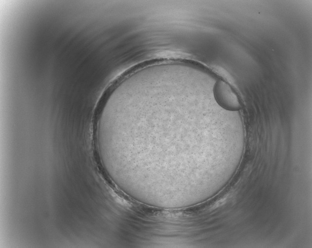 X0000068300831200605051931