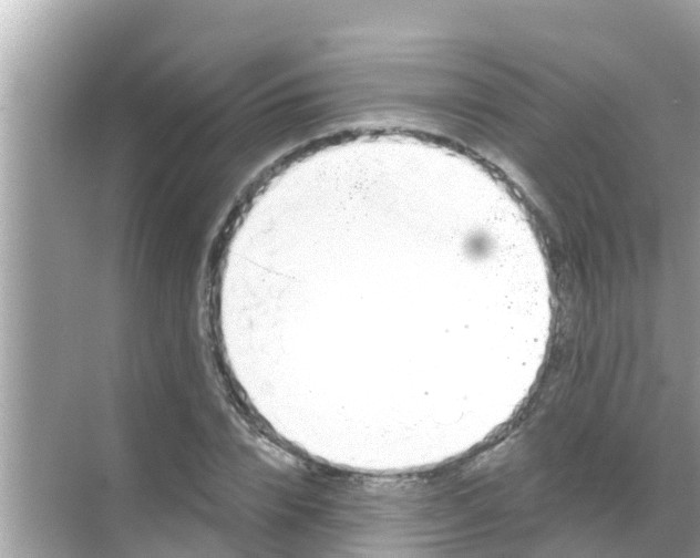 X0000068300832200605051931