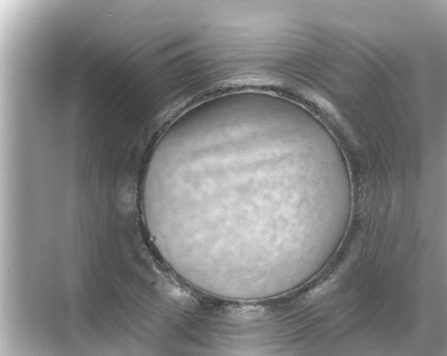 X0000068300833200605051931