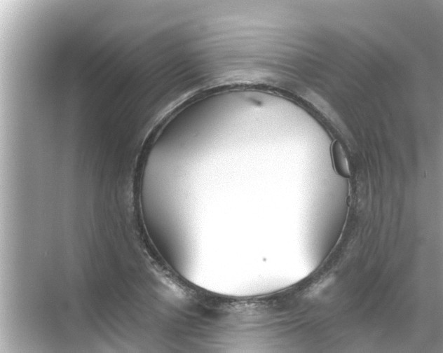 X0000068300834200605051931