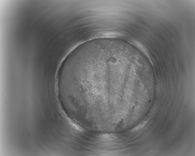 X0000068300835200605051931