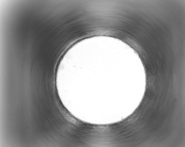 X0000068300836200605051931