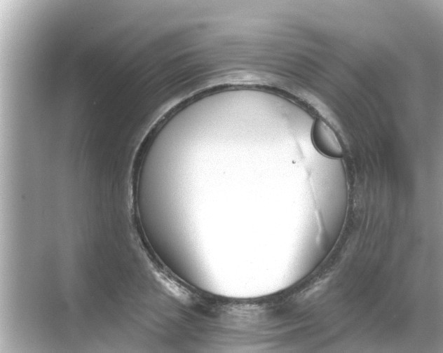 X0000068300837200605051931