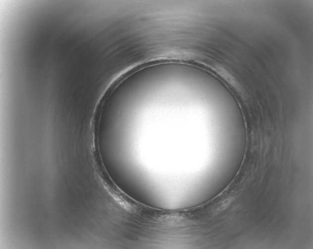 X0000068300838200605051931