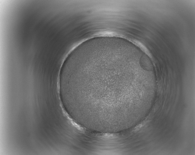 X0000068300839200605051931