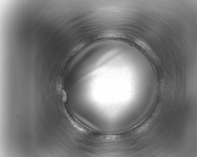 X0000068300841200605051931