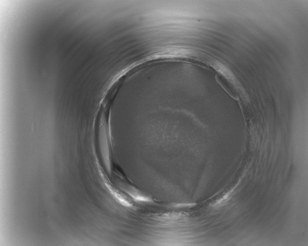 X0000068300842200605051931