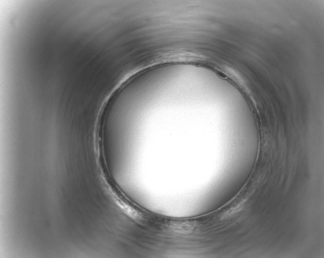 X0000068300843200605051931