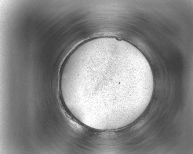 X0000068300844200605051931