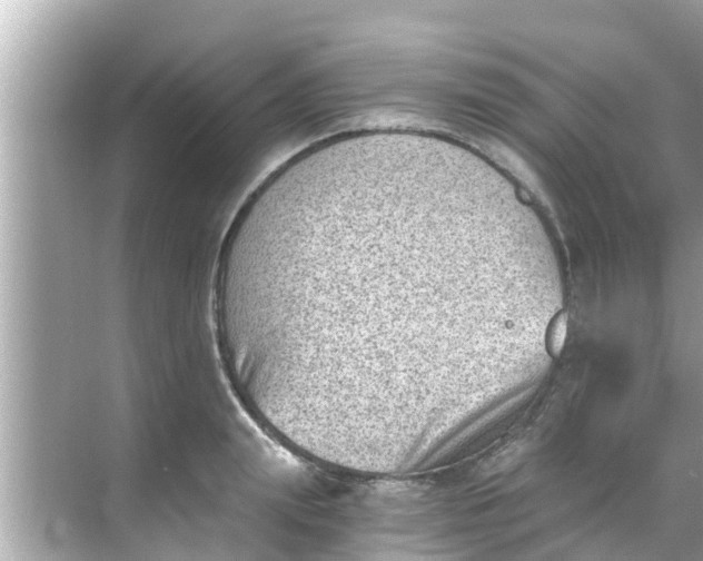 X0000068300847200605051931