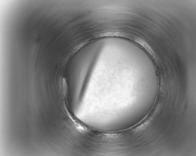 X0000068300849200605051931