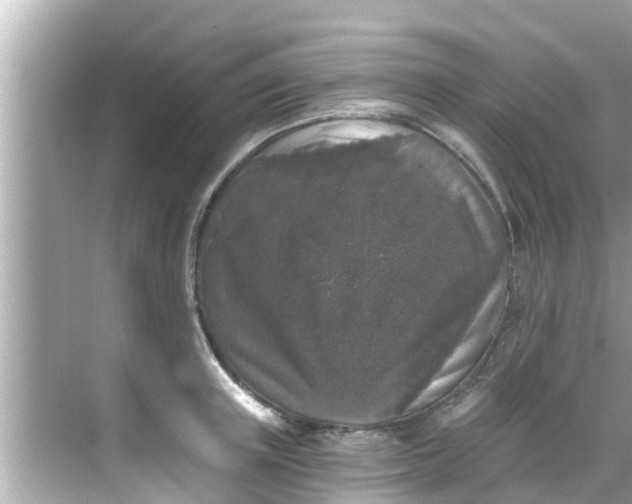 X0000068300851200605051931