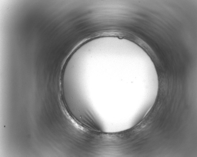 X0000068300852200605051931