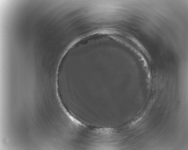 X0000068300853200605051931