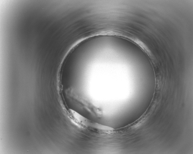 X0000068300854200605051931