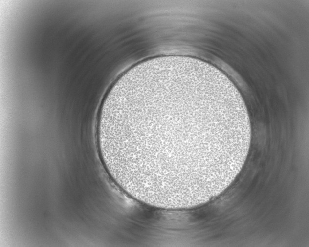 X0000068300856200605051931