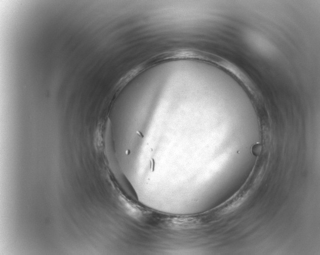 X0000068300857200605051931