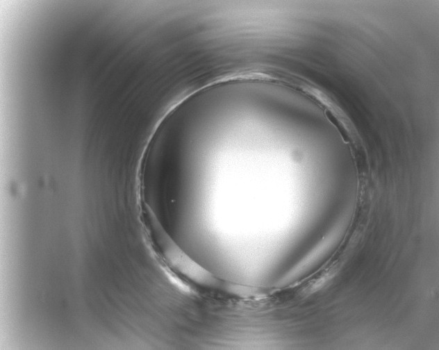 X0000068300858200605051931