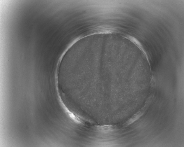 X0000068300859200605051931