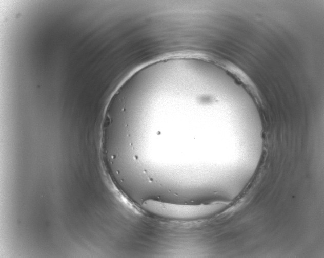 X0000068300860200605051931