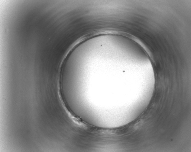 X0000068300861200605051931