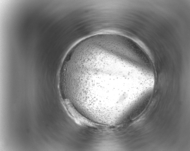 X0000068300862200605051931