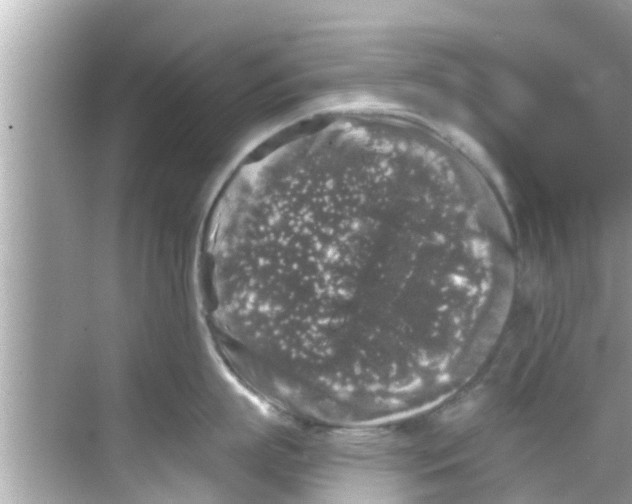 X0000068300863200605051931