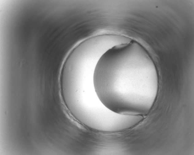 X0000068300864200605051931