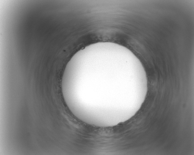 X0000068300865200605051930