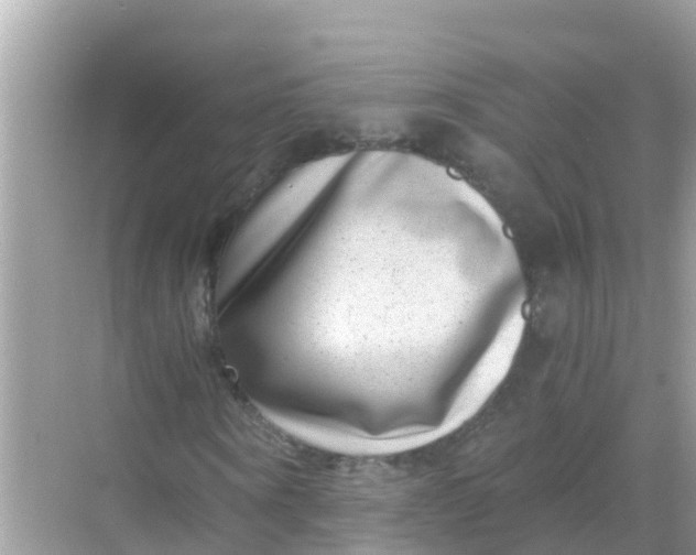 X0000068300866200605051930